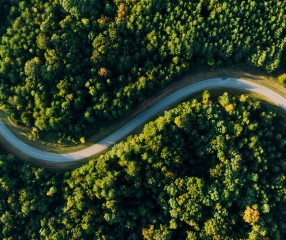 俯视航拍树林间的公路，免费高清商用图片下载