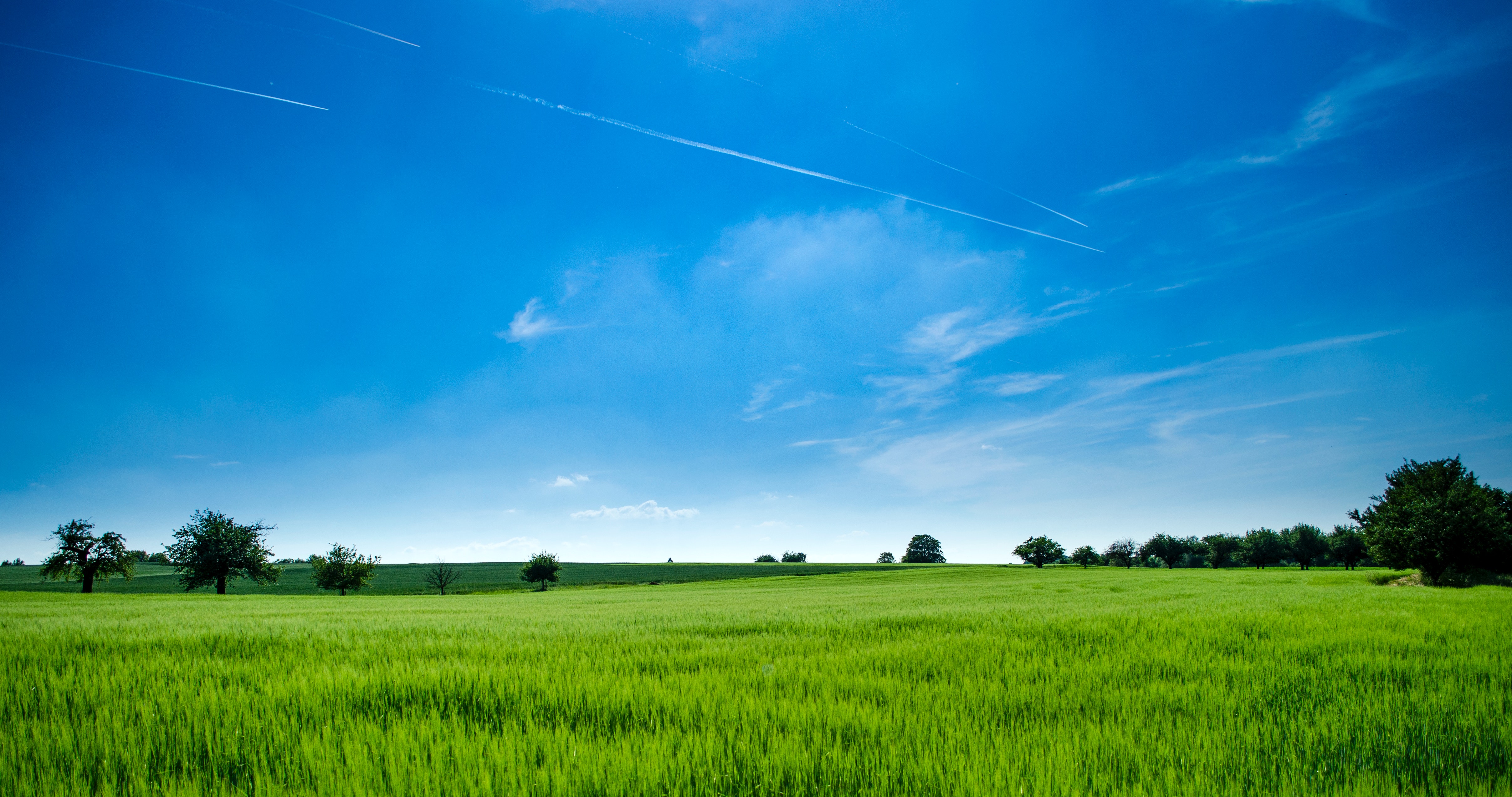 春天绿色草地，蓝天白云，免费商用高清图片