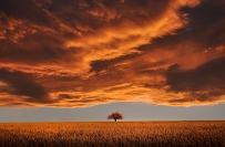 大气磅礴的草原天空，高清图片免费商用下载